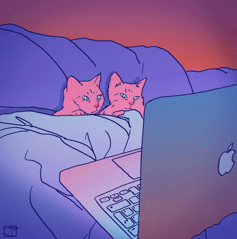 cats and macbook pro #mondaynois3
